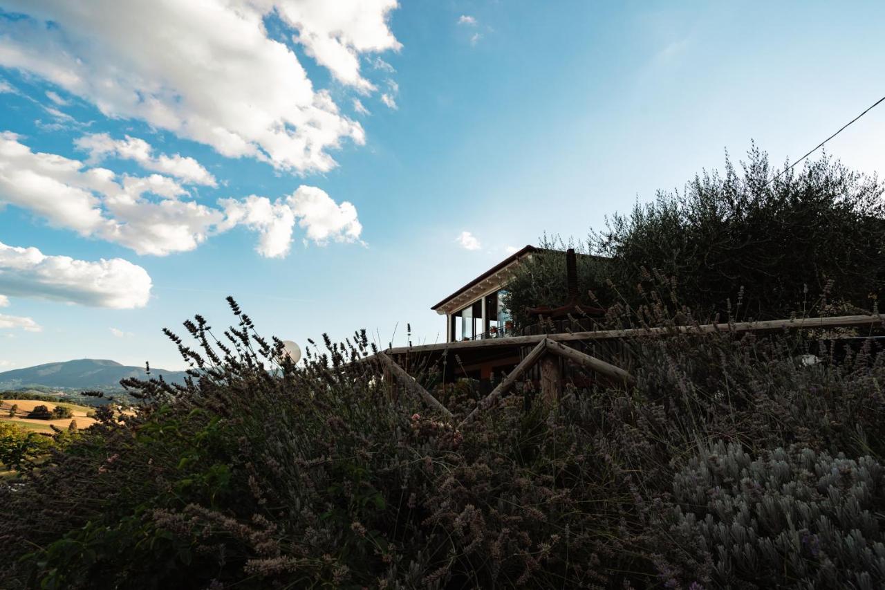 Il Pozzo Country House Collescipoli Экстерьер фото