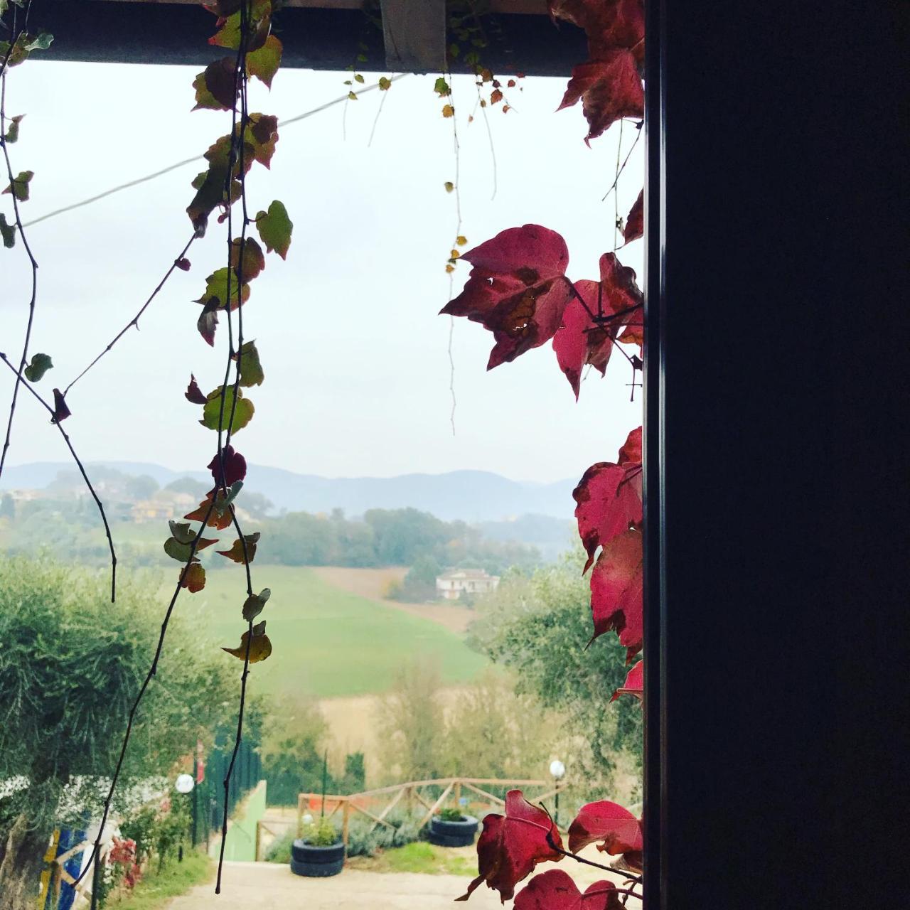 Il Pozzo Country House Collescipoli Экстерьер фото