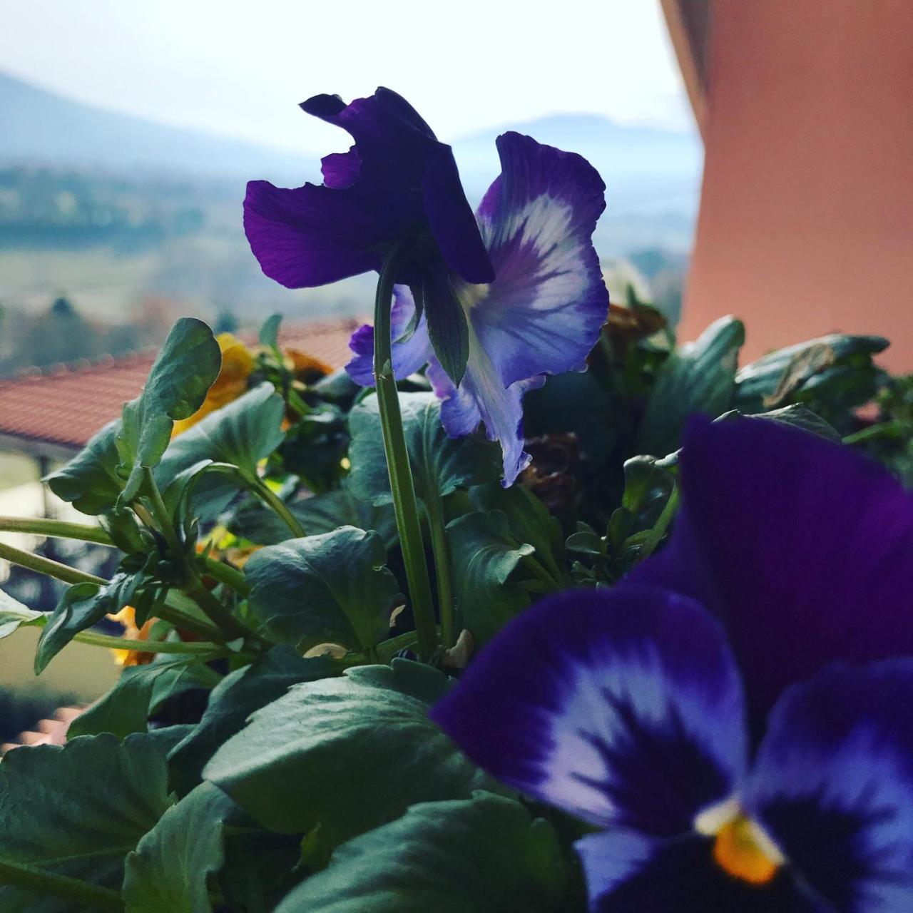 Il Pozzo Country House Collescipoli Экстерьер фото